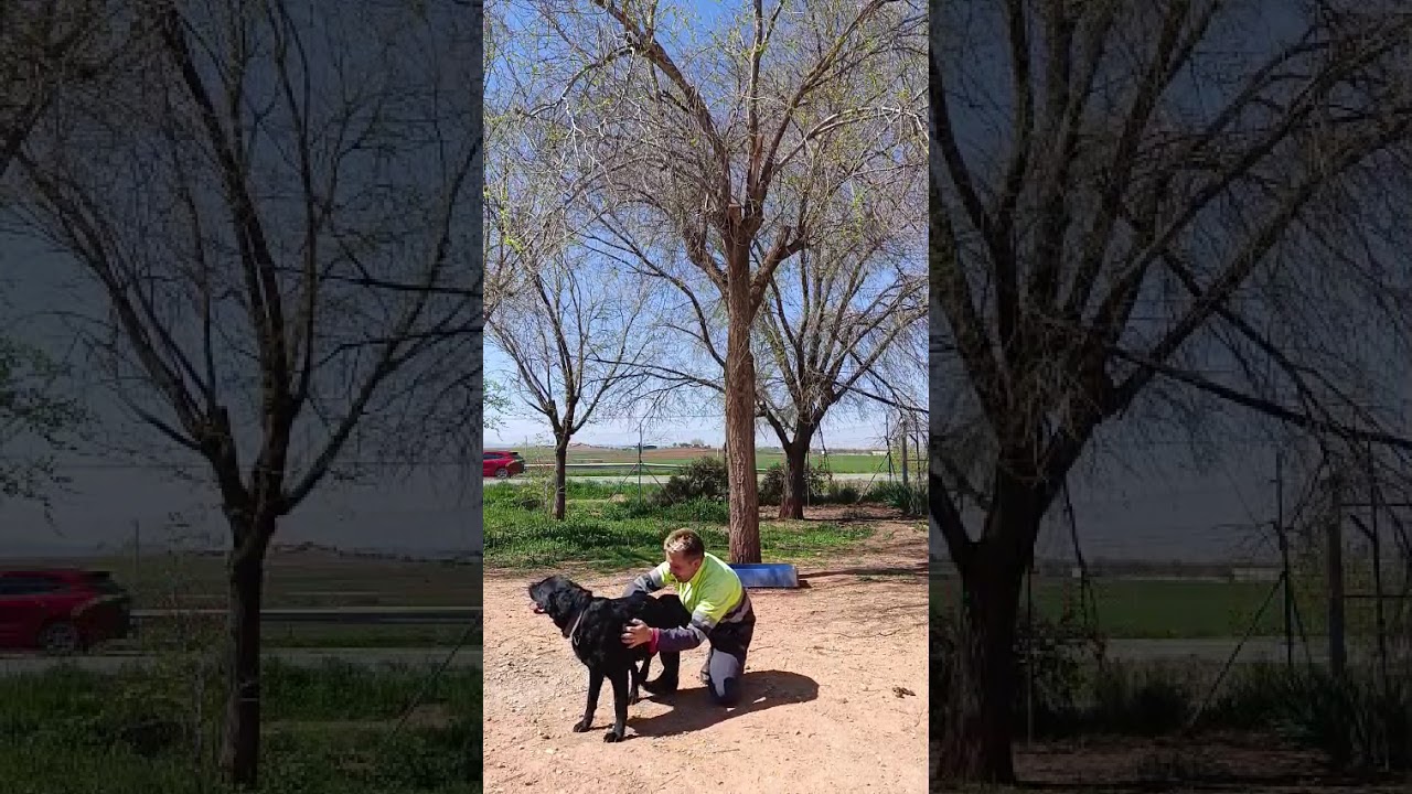 Youtube Vorschau - Video ID L_LvxcpO1jM